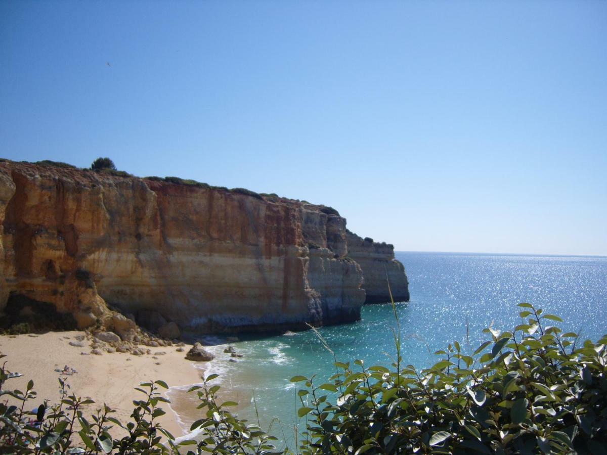Quinta Do Pinheiro Manso - Holidays Villa - Marinha Beach 卡武埃鲁 外观 照片