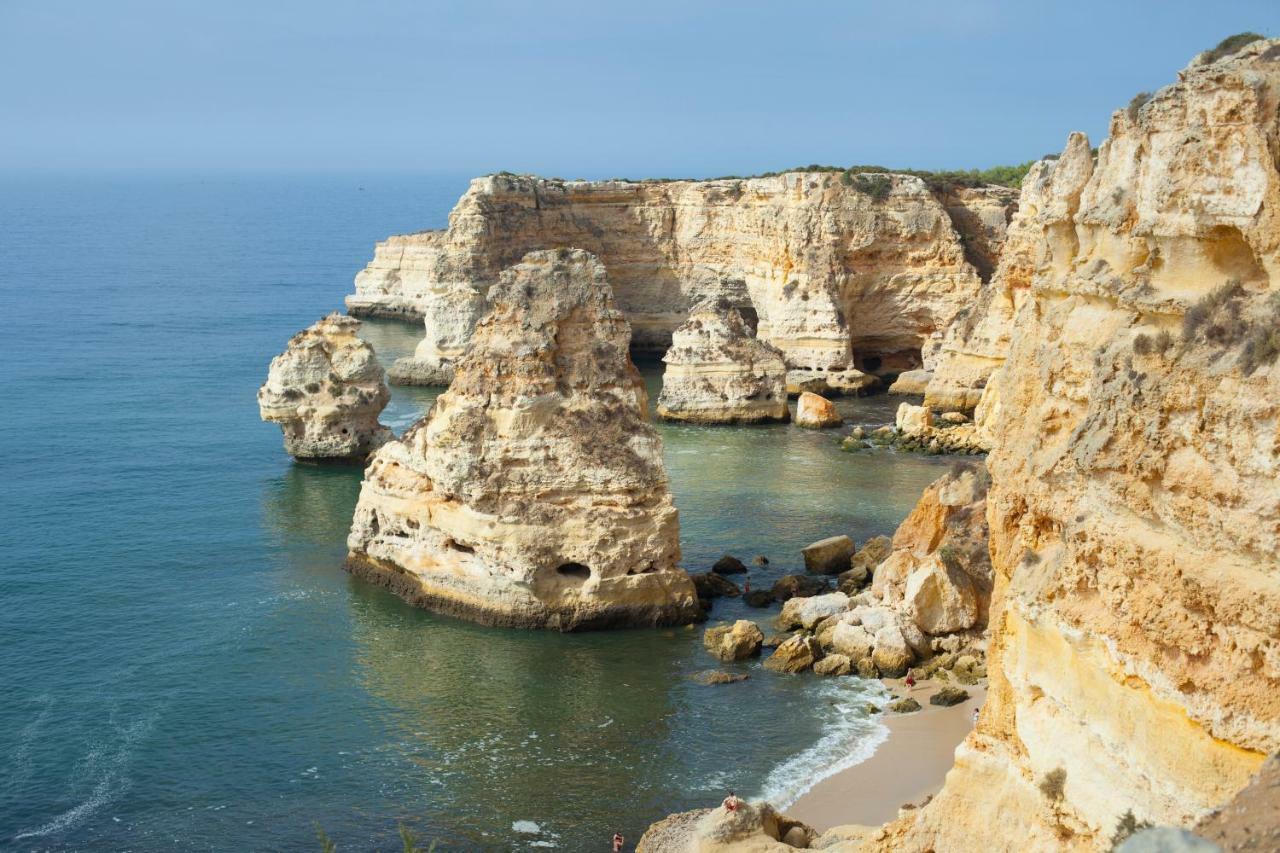 Quinta Do Pinheiro Manso - Holidays Villa - Marinha Beach 卡武埃鲁 外观 照片